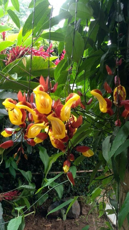 Suites Cocaia Ilhabela Luaran gambar