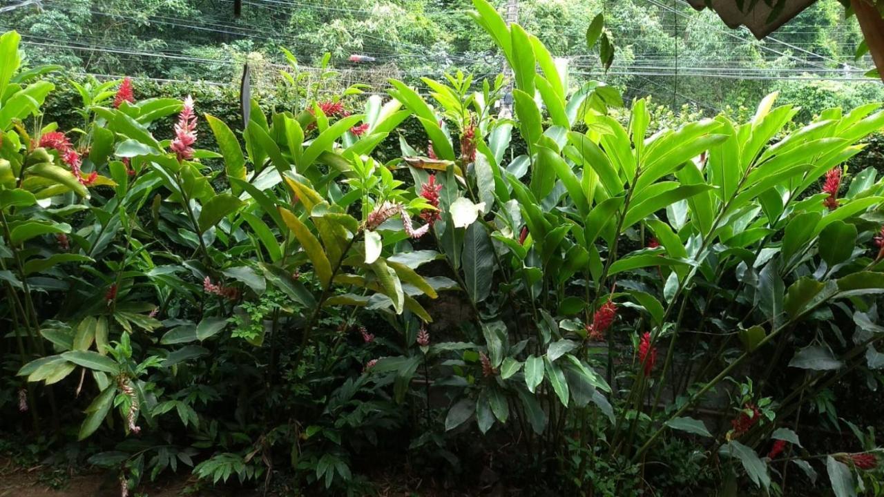 Suites Cocaia Ilhabela Luaran gambar